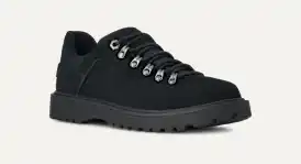 Birch Hiker