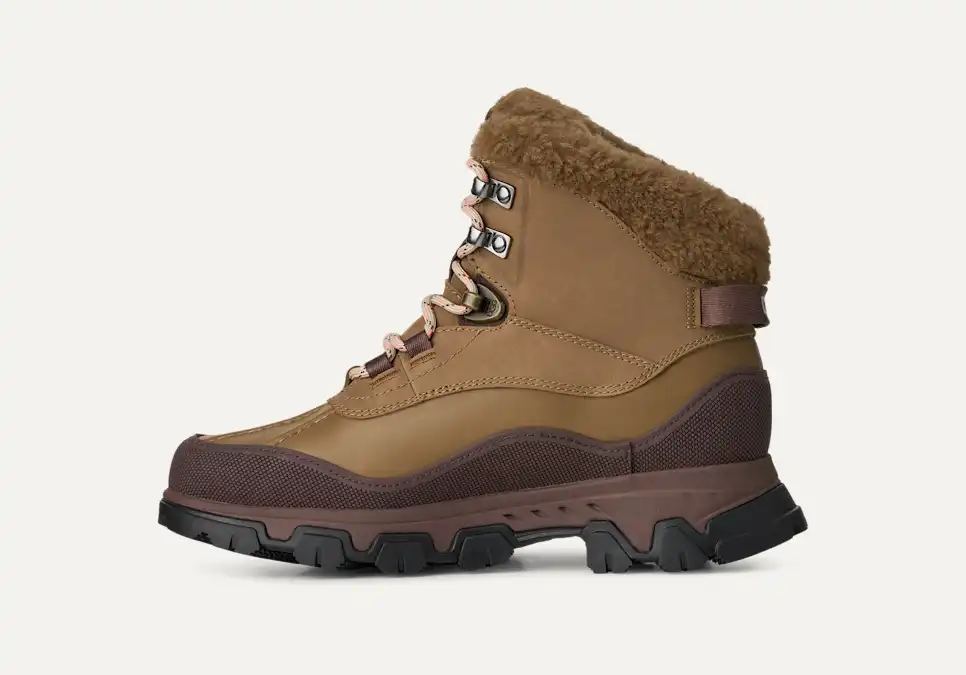 Adirondack Meridian Hiker